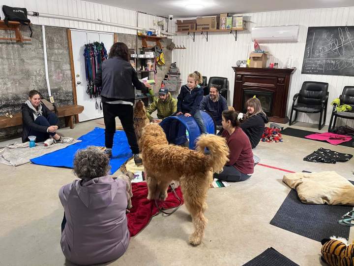 Pour mieux comprendre votre chien